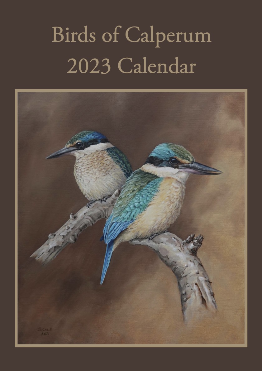 Birds of Calperum 2023 Calendar
