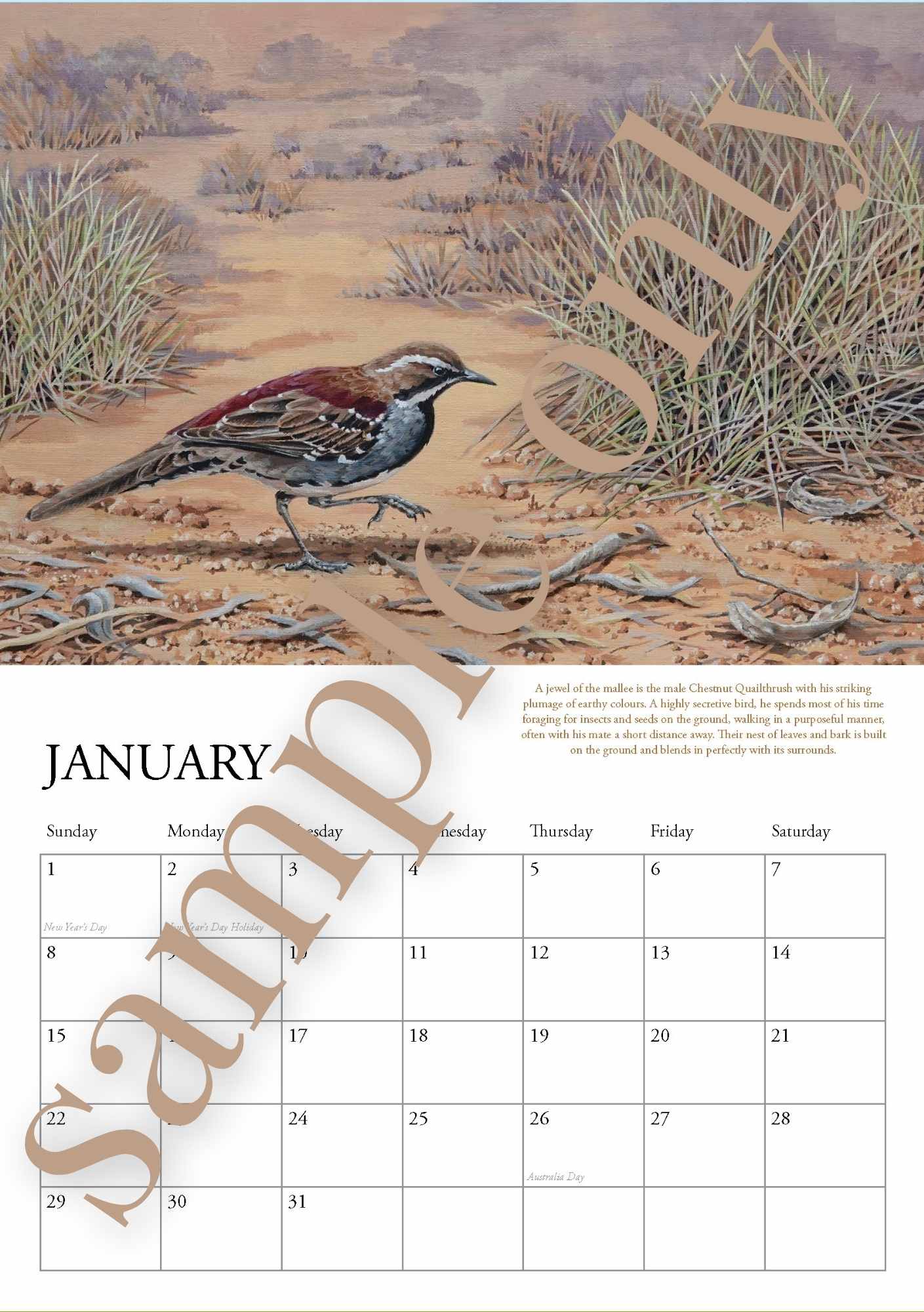 Birds of Calperum 2023 Calendar